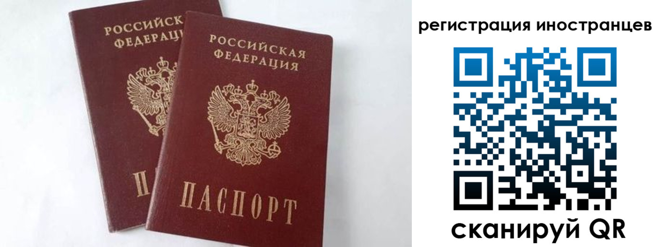 регистрация для школы в Ершове